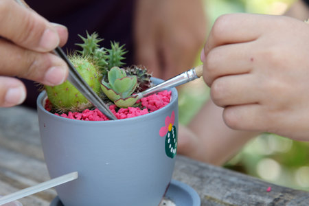 Gardening cactus in a pot on wooden tableの写真素材