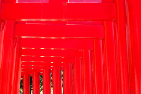 The red torii gates line the path at Hinoki Land, Chiang Mai,Northern Thailand.の写真素材