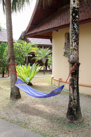 An empty hammock between palm trees in a hotel resortの写真素材