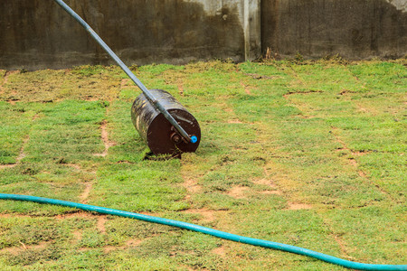 Laying grass for landscaping the area around the house.