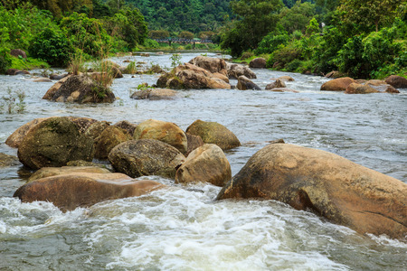 Mountain river sights along the natural tropical forests.の写真素材