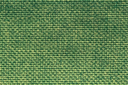 light green canvas texture