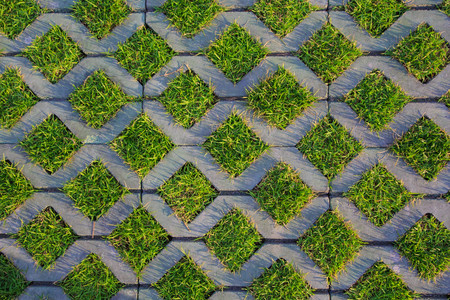 The Stone block walk path in the park with green grass backgroundの写真素材