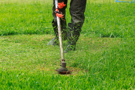 The gardener cutting grass by lawn mower