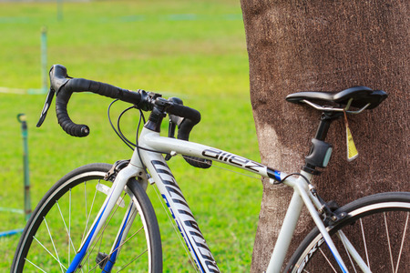 Bangkok, Thailand - MARCH. 2nd: Bicycle white parked beside tree green lawn  background .のeditorial素材