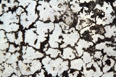 Grunge Texture Background