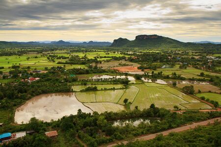 Aerial view on green fields の写真素材