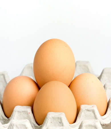 Chicken brown egg closeup view background