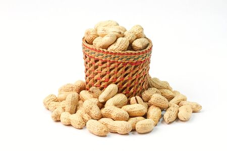 Peanut on white backgroundの写真素材