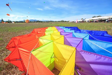 Kite on the ground の写真素材