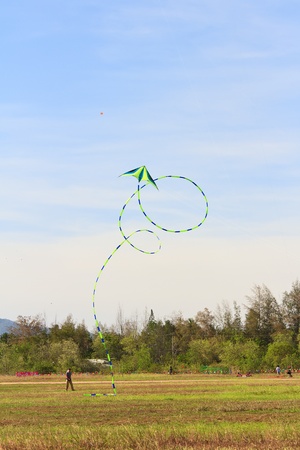 kite  on  blue skyの写真素材