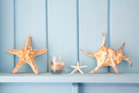 decoration with shellfish, beach style decorationの写真素材