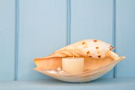 decoration with shellfish, beach style decorationの写真素材