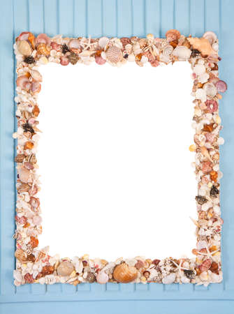 Decorative frame made from different shells and musselsの写真素材