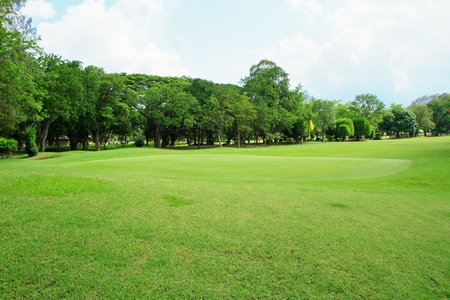 Beautiful green grass pattern from golf courseのeditorial素材