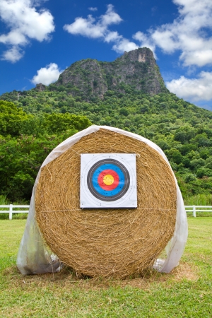 target archery in fieldの写真素材
