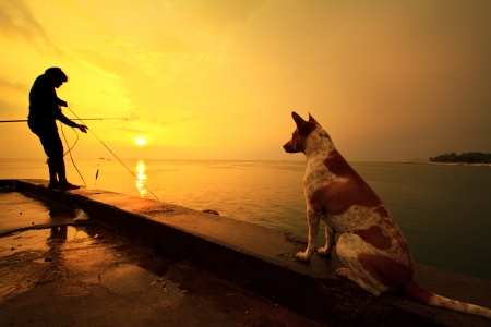 The dog looking fisherman fishes on the sea. Silhouette at sunriseの写真素材