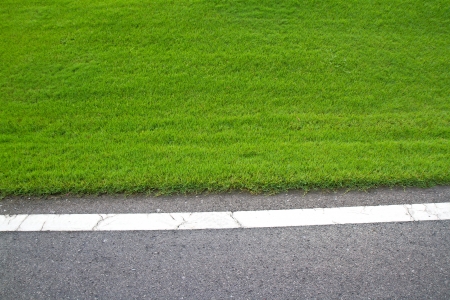 Field of grass with asphalt roadの写真素材