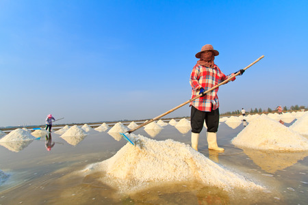 People working in the salt fieldの写真素材