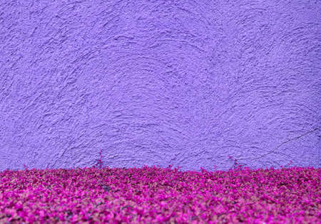 Concrete floor with pink  leavesの写真素材