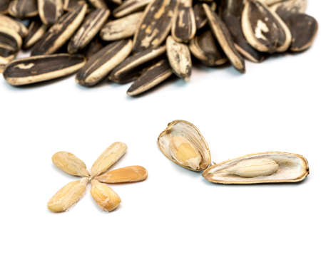 sunflower seeds pile against white backgroundの写真素材