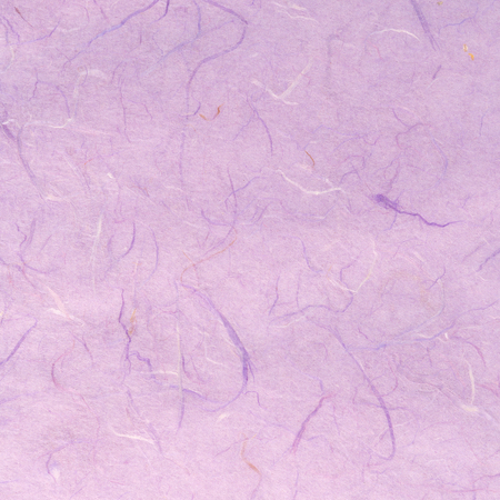 Pink  mulberry paper with dry flowers.の写真素材