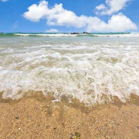 beach and tropical seaの写真素材