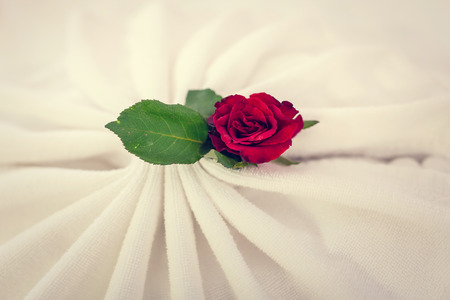 vintage bath towels with rose flowers on background closeupの写真素材
