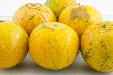 Orangeの写真素材