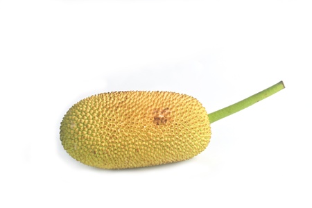 Small Jackfruit  on white background It s isolate の写真素材