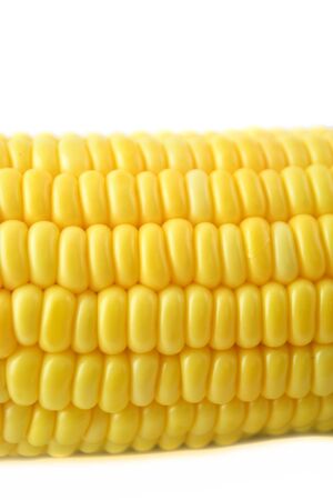 Close up corn の写真素材