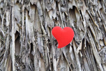 Valentines day with heart.の写真素材