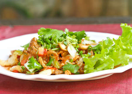 Thai spicy foodの写真素材