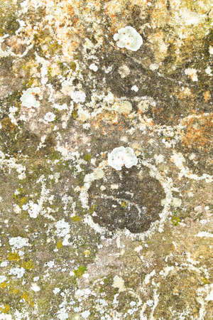old wall texture background.