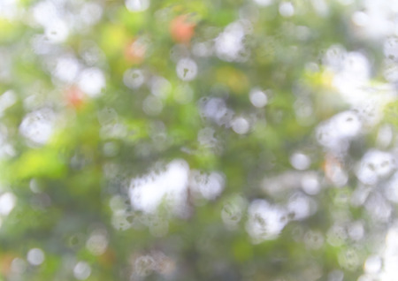 abstract green nature blur background.