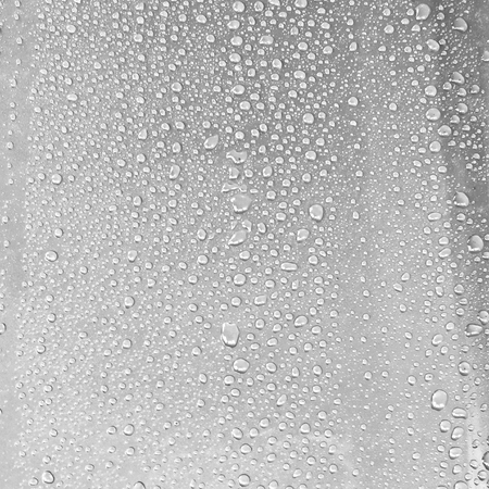 Drops of rain.(Selective focus.)の写真素材