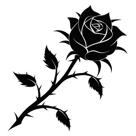Black rose isolated on white background. Vector illustration for your design.のイラスト素材