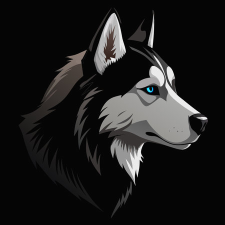 Siberian husky head isolated on black background. Vector illustration.のイラスト素材