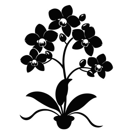 Black orchid flower silhouette isolated on white background. Vector illustration.のイラスト素材