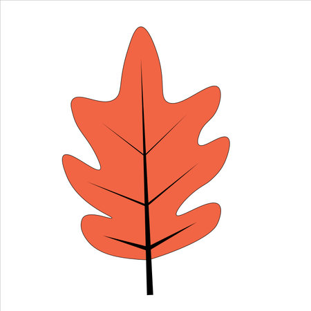 Red maple leaf element illustrationのイラスト素材