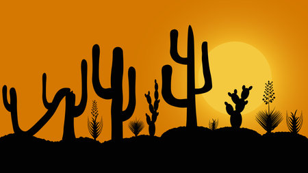Sunset with desert and cactus. Sunset in the desert. Silhouette of cactusのイラスト素材