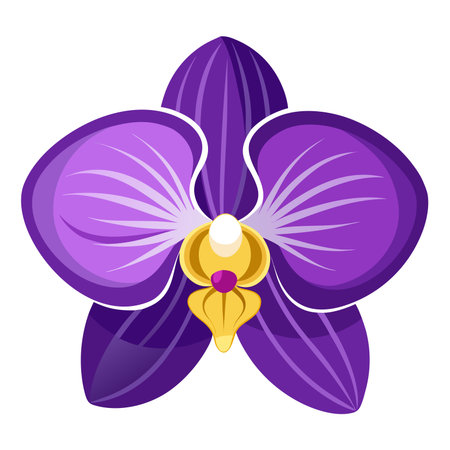 Orchid flower icon. Cartoon illustration of orchid flower vector icon for webのイラスト素材