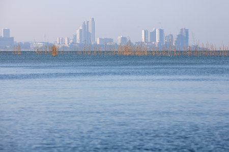 view of the city from the sea in winter, closeup of photoの写真素材