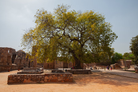 Ancient Indian sites during the day There are big trees and touristsのeditorial素材