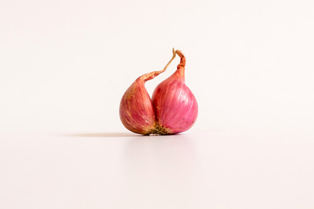 Red onionの写真素材