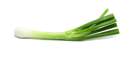 Green onion isolated on the white backgroundの写真素材