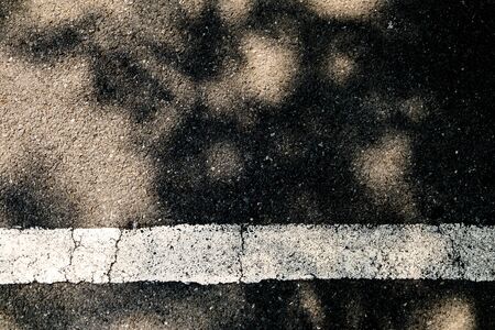 Shadow leaves on the floor parking lot empty, marked with white lines.