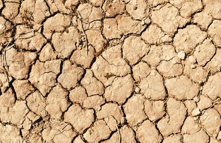 Closeup of dry soil texture ground for backgroundの写真素材