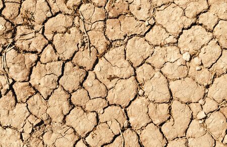 Closeup of dry soil texture ground for background