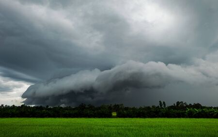 Black cloud Rainstorm is forming on green rice fields.の写真素材